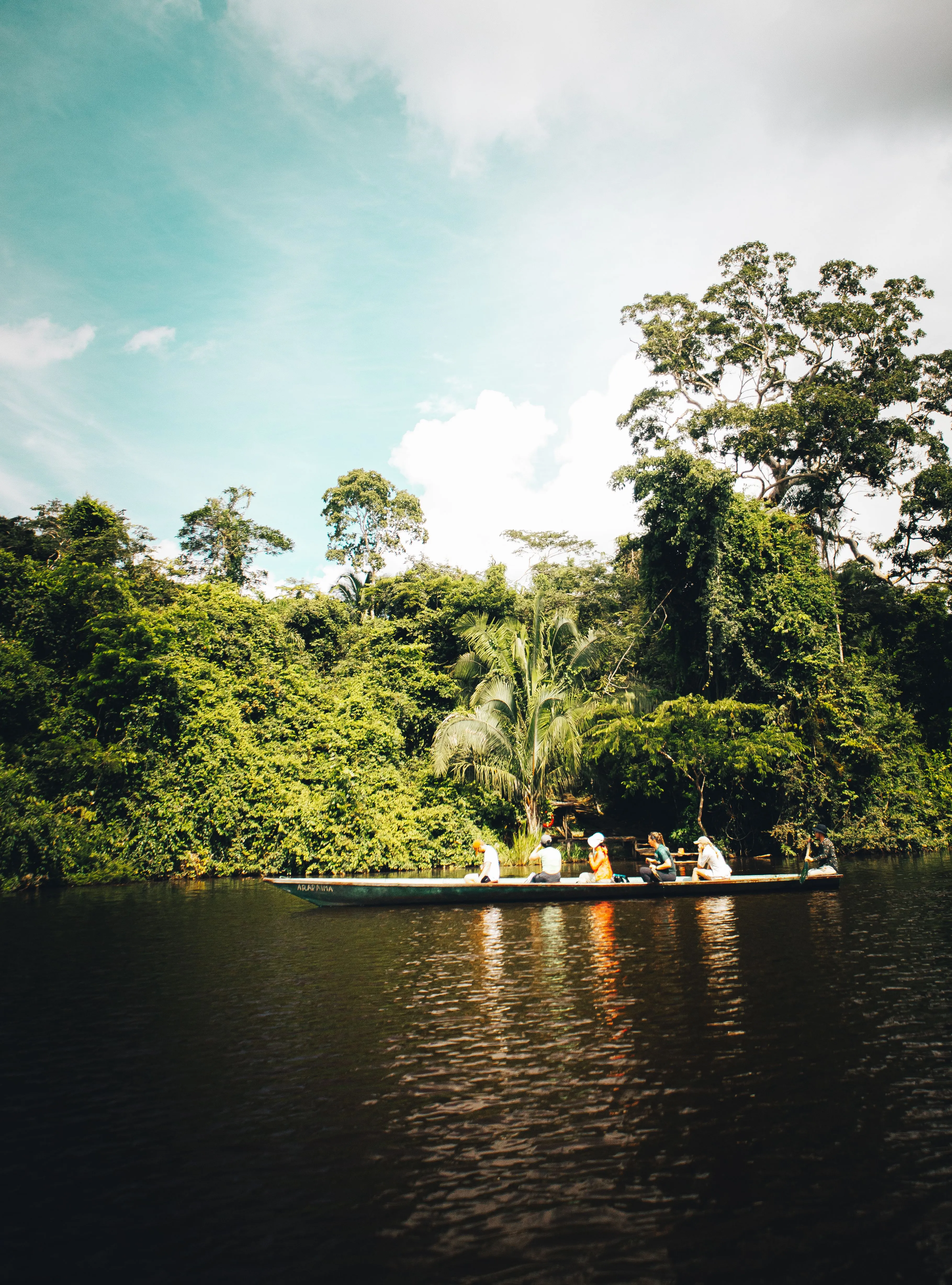 Una embarcación entre árboles parcialmente sumergidos en un bosque de igapó en la Amazonía.